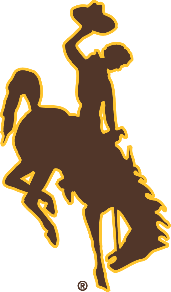 Wyoming Cowboys logos iron-ons